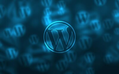 What is a WordPress theme?