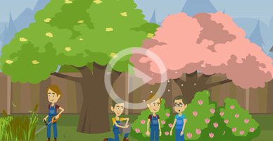 animated video service i